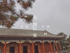 -颐和园