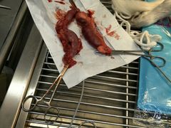 -暖阳宠物医院·犬猫康复中心·骨科