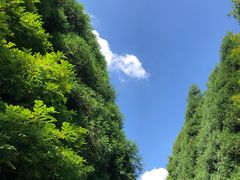 -山王坪喀斯特国家生态公园