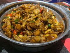 -蛙小侠(卓悦里店)