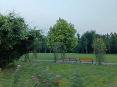 -洛阳市隋唐城遗址植物园