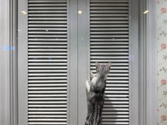 -猫小院猫主题餐厅(三里屯店)