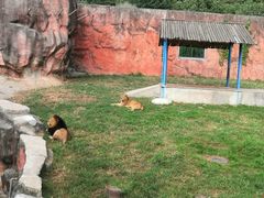 -无锡动物园·太湖欢乐园