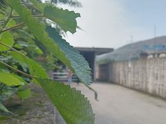 -816工程景区