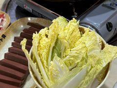 大白菜-顺德哥卜卜贝(旗舰店)