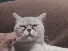 -RP酒吧·静吧·BAR