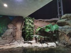 -上海海洋水族馆