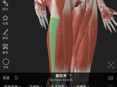 -锐动健身游泳(博地中心店)