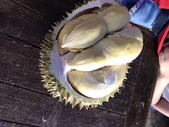 -榴莲一条街