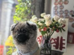 -铁炉咖啡(河下古镇店)