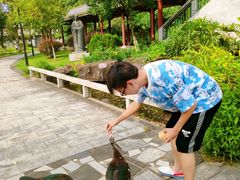 -广州神农草堂中医药博物馆