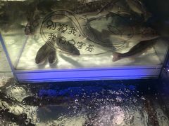 -大润发(国兴店)