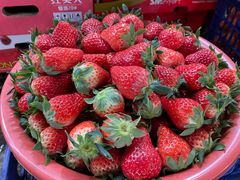 草莓-江杨农产品批发市场
