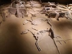 -洛阳周王城天子驾六博物馆