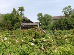 -迎泽公园