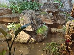 -叶叶菩提·晋福宫