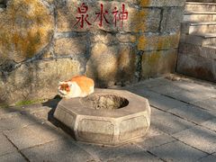 -崂山仰口游览区