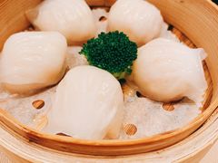 -金苑海鲜酒家(来魅力店)