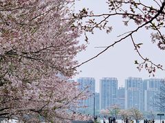 -团城山公园