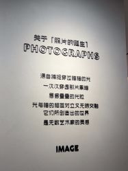 -大树儿童摄影