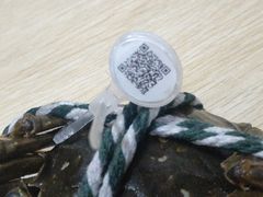 -祥鹤龙虾螃蟹