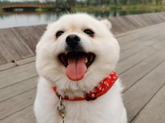 -白鹭湾湿地公园