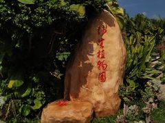 -亚龙湾国际玫瑰谷