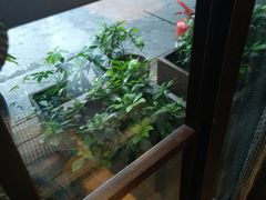 -有才叔的小馆(招商依云曲江店)