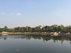 -新江湾城公园