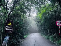 -紫金山山顶公园