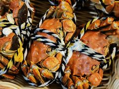-七的湖·晚芳亭·阳澄湖农家菜·大闸蟹(莲花岛店)