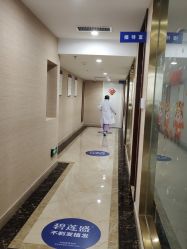 -碧莲盛·不剃发植发