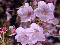 -西北湖绿化广场