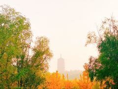 -永定河休闲森林公园