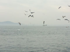 iphone_upload_pic-栈桥景区