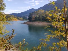 -广州市流溪河国家森林公园