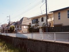 -井之头恩赐公园