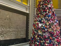 -上海和平饭店-华懋阁 The Cathay Room