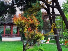 -九献创意菜·新中式(亮马河花园私宴店)