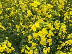 -祝甸砖窑文化馆