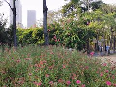 -中澳友谊花园
