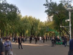 -建国公园
