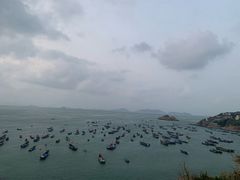 -枸杞岛