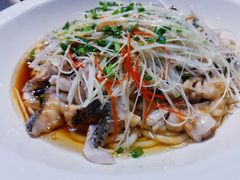-三猫黑鱼花(南大店)