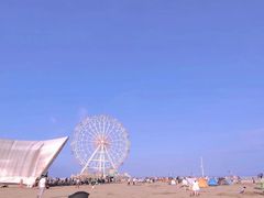 -奉贤海滩