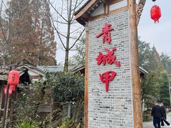 -青城甲(青城山店)