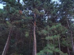 -云峰山自然风景区