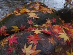 -中国茶叶博物馆(双峰馆区)