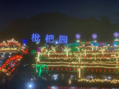 -枇杷园食为鲜火锅(南山店)