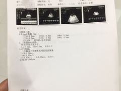 -欧奕国际动物医院